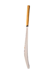 CA Gold Dragon
