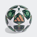 Adidas UCL 2024/2025 UCL Training Football - Size 5